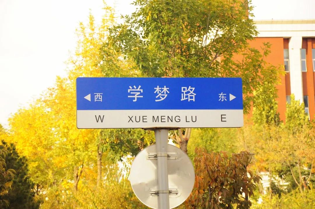 图片9.jpg